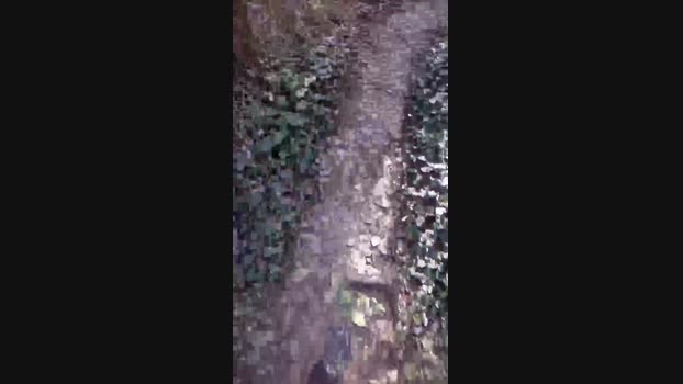 Dirtysneakers 29-02-2024 Recorded Video play