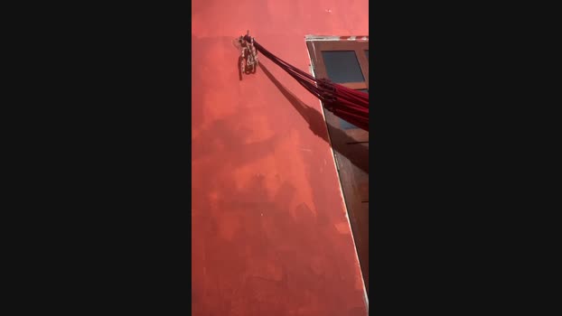 Gomes233 29-02-2024 Recorded Video gay