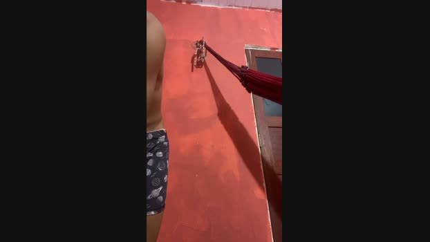 Gomes233 29-02-2024 Recorded Video striptease