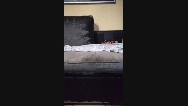 Darkhors1 01-03-2024 Recorded Video deep