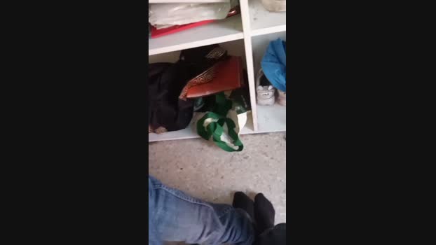 Josemanuelpazh 01-03-2024 Recorded Video harddick