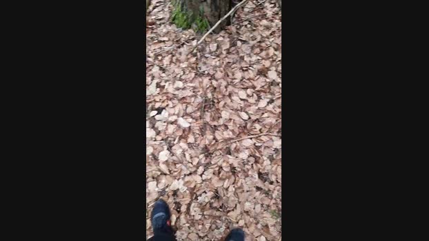 Outdoorgeil1 01-03-2024 Recorded Video Download