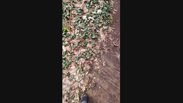 Outdoorgeil1 01-03-2024 Recorded Video Webcam