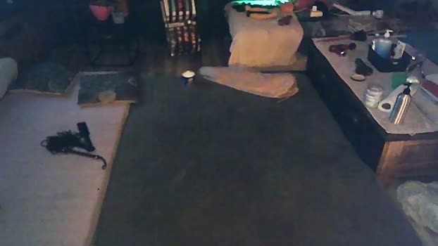 SchagenNH 01-03-2024 Recorded Video suckcock