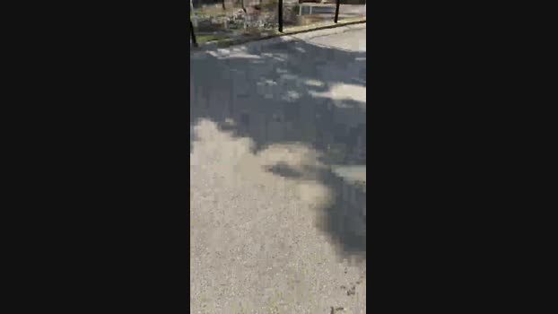 babiscam 02-03-2024 Recorded Video analsex