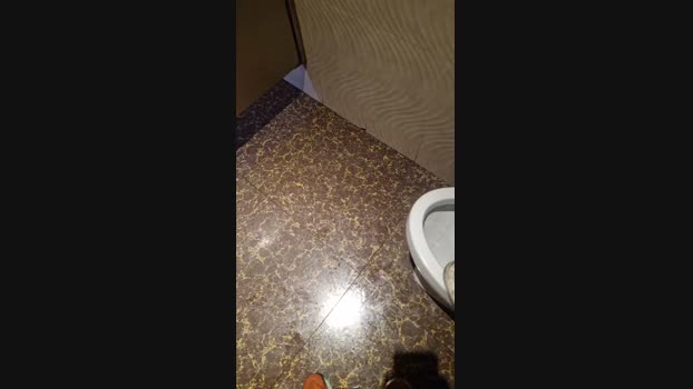 ctoned 02-03-2024 Recorded Video prettyface