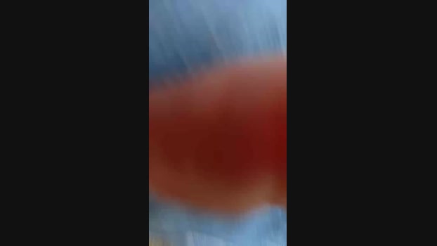 raulxxl2025 02-03-2024 Recorded Video blowjob