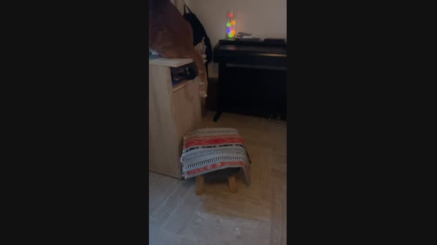 HairyGuy06 03-03-2024 Recorded Video sexy
