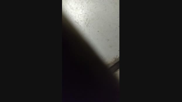 Waltersantoto 03-03-2024 Recorded Video play