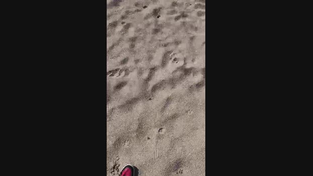 Xtrl94 03-03-2024 Recorded Video play