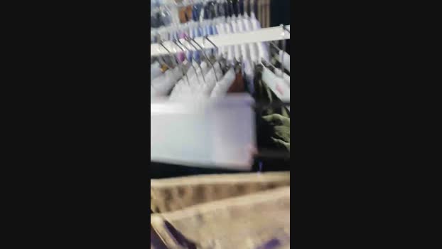 CDLukeLucy 04-03-2024 Recorded Video analtoy