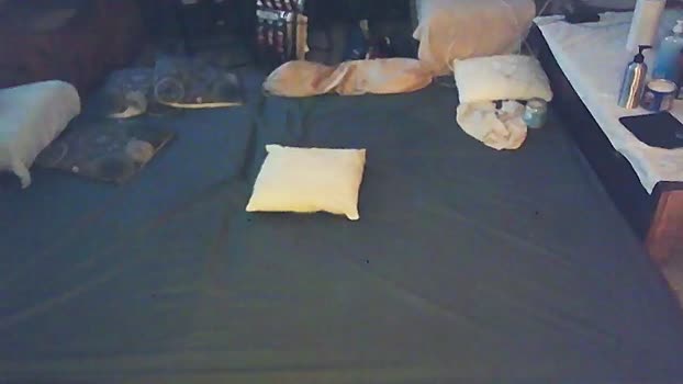 SchagenNH 03-03-2024 Recorded Video beautiful
