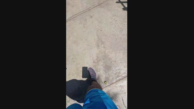 ctoned 03-03-2024 Recorded Video analtoy
