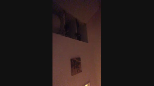 kainzomax34 04-03-2024 Recorded Video sexy