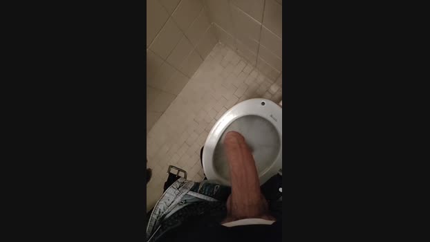 pintoi2 04-03-2024 Recorded Video skinny