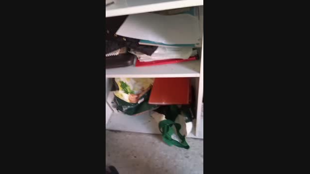 Josemanuelpazh 05-03-2024 Recorded Video analtoy