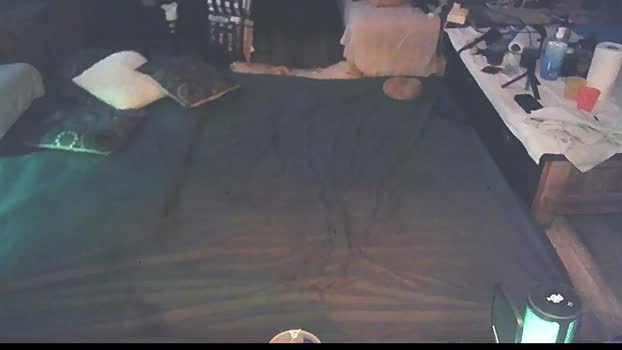 SchagenNH 06-03-2024 Recorded Video fuckass