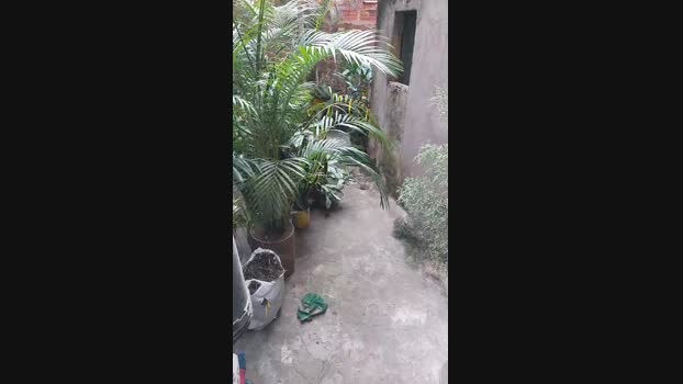 Sexylatinogay 05-03-2024 Recorded Video sexybody