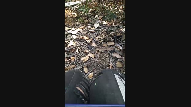 gonzo_art 06-03-2024 Recorded Video amateur