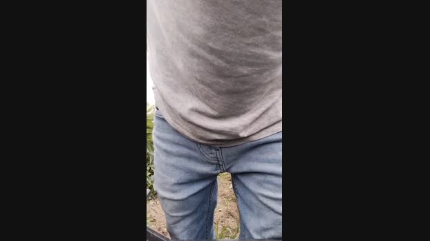 _Apatik_