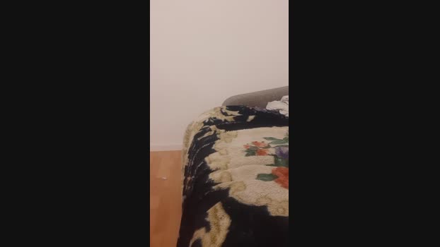 Zeromunchen 07-03-2024 Recorded Video ass