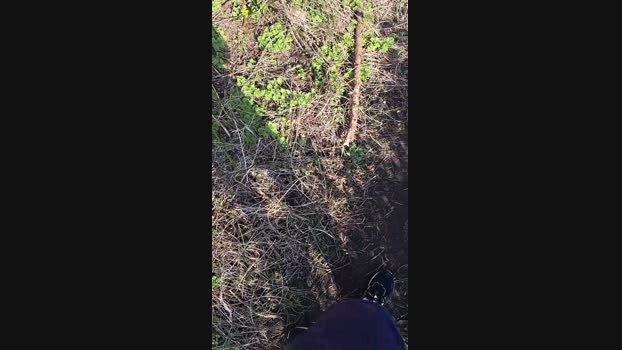 hotbody18y 08-03-2024 Recorded Video horny