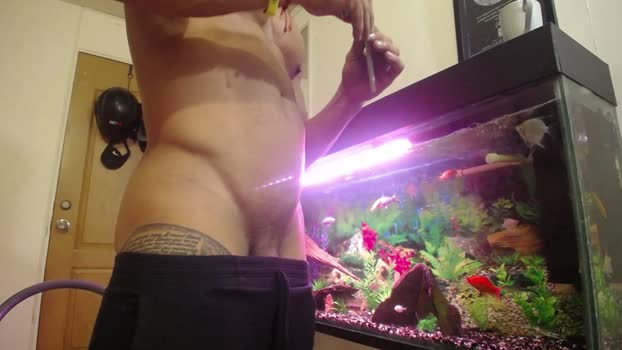 romeolovehot 08-03-2024 Recorded Video horny