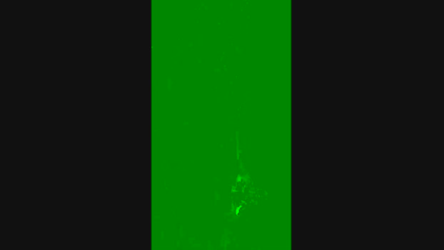 Sheiksaleem1988 09-03-2024 Recorded Video jerkoff