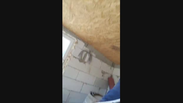 VanPeterx 09-03-2024 Recorded Video gag