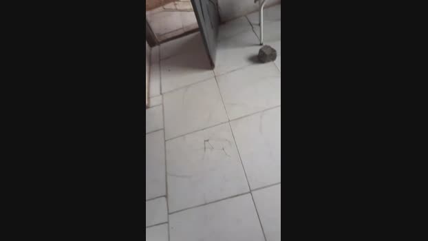 gostoso913 09-03-2024 Recorded Video jackoff