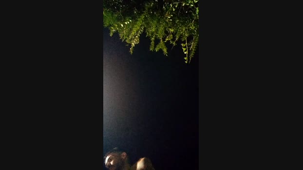 BoyPsy97 10-03-2024 Recorded Video bigass