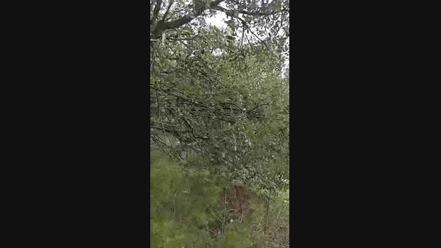 Gastea1 10-03-2024 Recorded Video jerkoff