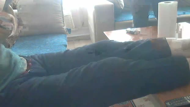 pollen_07 10-03-2024 Recorded Video yummy