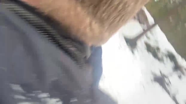 stefanoeverlan1 10-03-2024 Recorded Video squirt