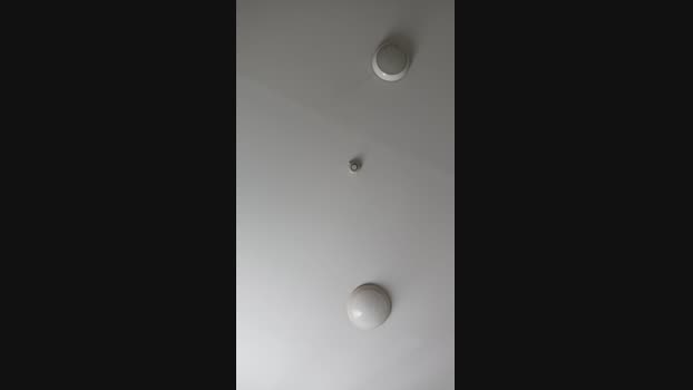 thomas954 10-03-2024 Recorded Video moan
