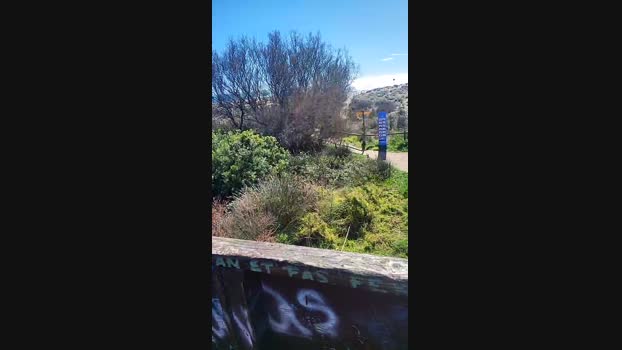 6Q87 11-03-2024 Recorded Video deep