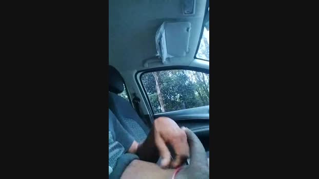 MacciSantana 10-03-2024 Recorded Video toy