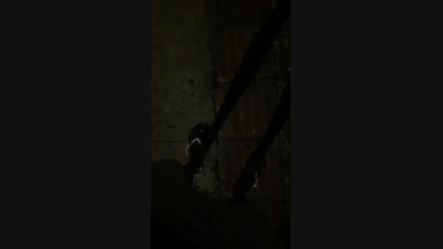 leandrohot25 11-03-2024 Recorded Video jackoff
