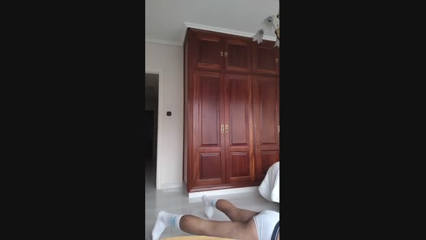 billyingalicia 11-03-2024 Recorded Video jerkoff