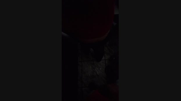 ctoned 11-03-2024 Recorded Video bigdick