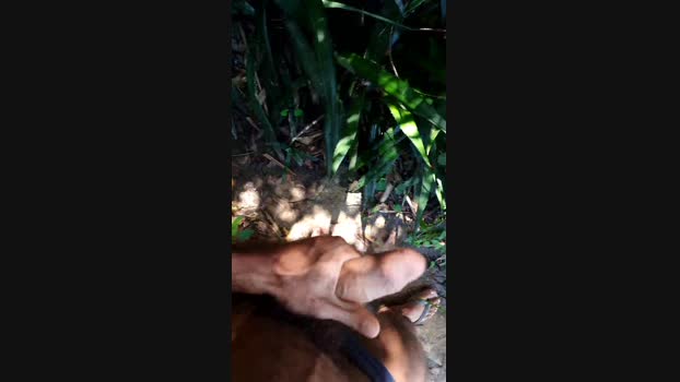 recoblue22cm 12-03-2024 Recorded Video big
