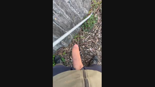 Elisir1987 13-03-2024 Recorded Video Ass