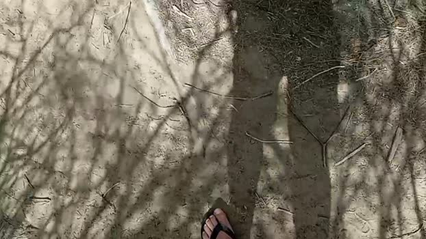 Pabloysebas 12-03-2024 Recorded Video Topless