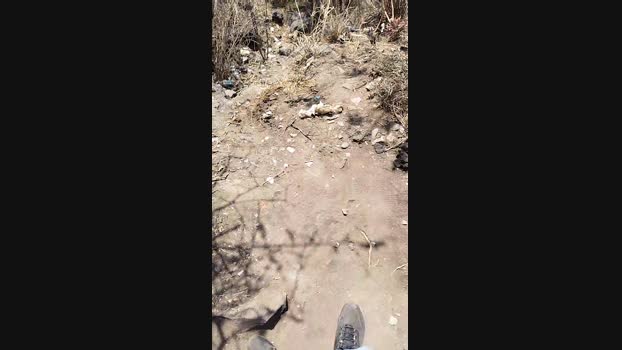 diego2634 12-03-2024 Recorded Video bigload