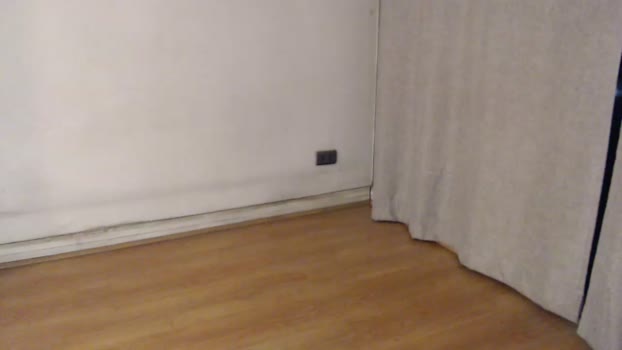 25x6cms 14-03-2024 Recorded Video toy
