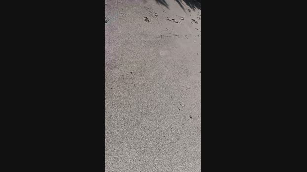 Xtrl94 14-03-2024 Recorded Video lush