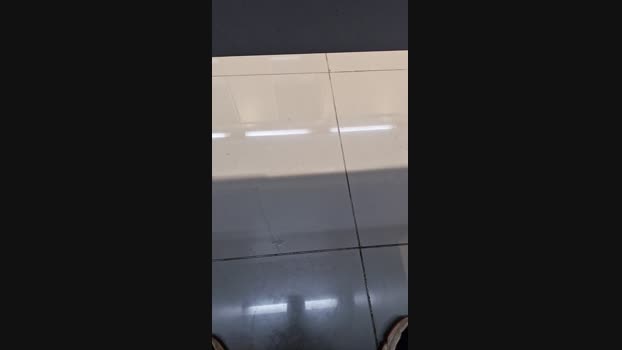 ctoned 13-03-2024 Recorded Video analtoy