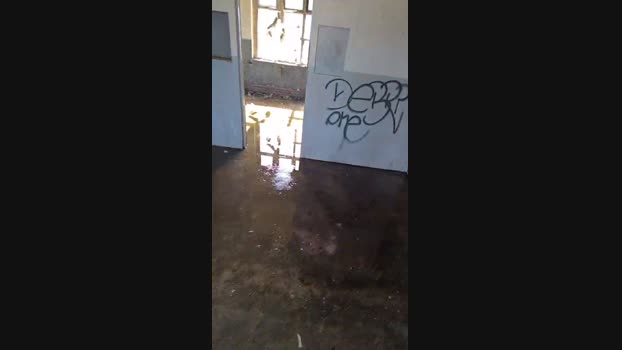 publicexib1 14-03-2024 Recorded Video cute