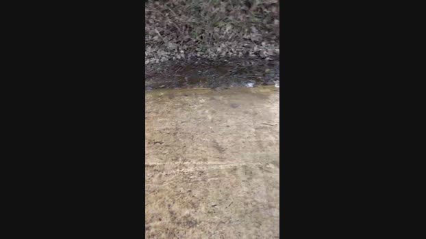 publicexib1 14-03-2024 Recorded Video playtime