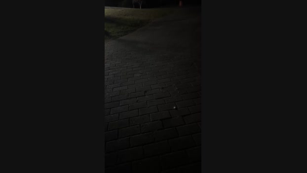 chappypipi 14-03-2024 Recorded Video jackoff